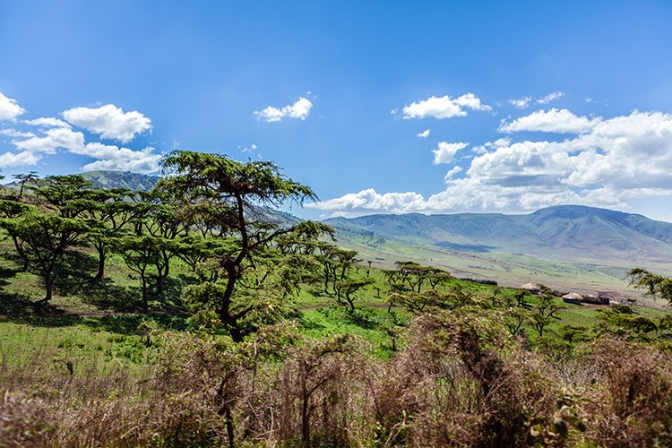 TZA ARU Ngorongoro 2016DEC23 028